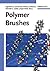 Polymer Brushes: Synthesis, Characterization and Applications