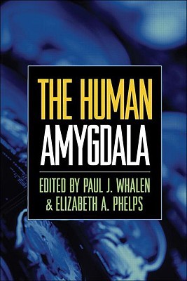 The Human Amygdala (Hardcover)