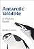 Antarctic Wildlife by James Lowen