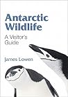 Antarctic Wildlif...
