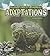 Rain Forest Animal Adaptations (A+ Books Amazing Animal Adaptations)