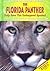 The Florida Panther: Help Save This Endangered Species!