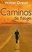 Caminos de Fuego by Walter Dresel