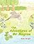 The Adventures of MR Magraw by Shula Wright
