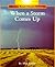 When a Storm Comes Up (Rookie Read-About Science: Weather)