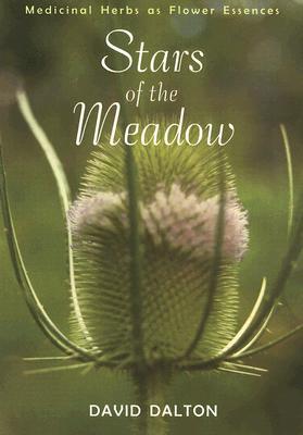 Stars of the Meadow: Medicinal Herbs as Flower Essences (Paperback)