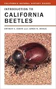 Introduction to California Beetles