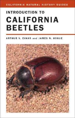 Introduction to California Beetles (Paperback)