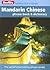 Berlitz Mandarin Chinese Phrase Book & Dictionary