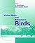 Vision, Brain, and Behavior in Birds