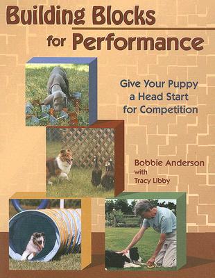 Building Blocks for Performance (Paperback)