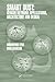 Smart Dust: Sensor Network ...