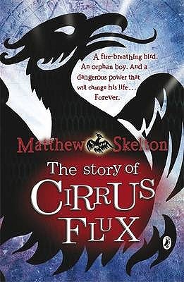 The Story of Cirrus Flux (Paperback)