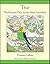 Tito the Parakeet That Never Went Anywhere by Thomas Collins