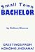 Smalll Town Bachelor