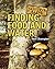 Finding Food and Water by Neil Champion