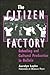 The Citizen Factory: Schooling and Cultural Production in Bolivia (Power Social Identity Educ)