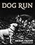 Dog Run