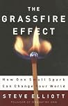 The Grassfire Effect: How One Small Spark Can Change Your World The Grassfire Effect: How One Small Spark Can Change Your World