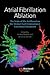 Atrial Fibrillation Ablation: The State of the Art Based on the Venicechart International Consensus Document