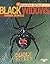 Black Widows: Deadly Biters (Arachnid World)