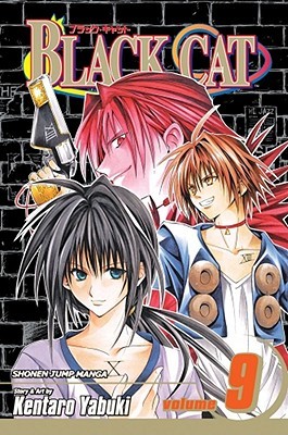 Black Cat, Volume 09 (Paperback)