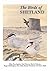 Birds of Shetland