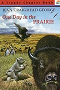 One Day in the Prairie