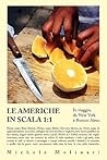 LE AMERICHE IN SCALA 1 (Italian Edition)