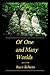 Of One and Many Worlds