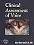 Clinical Assessment of Voice