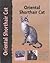 Oriental Shorthair Cat (Cat Breeds) (Pet Love)