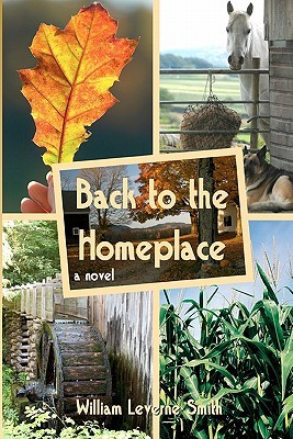 Back to the Homeplace (Paperback)