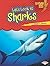 Let's Look at Sharks (Lightning Bolt Books ® ― Animal Close-Ups)