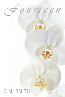 Fourteen (Paperback)