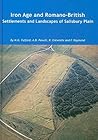 Iron Age and Romano-British Settlements and Landscapes of Salisbury Plain (Wessex Archaeology Reports)