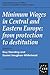 Minimum Wages in Central and Eastern Europe by Guy Standing