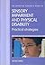 The Effective Teachers' Guide To Sensory Impairment and Physical Disability, Practical Strategies (New Directions in Special Educational Needs)