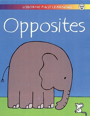 Opposites (Usborne First Learning Activity Book)