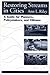 Restoring Streams in Cities by Ann L. Riley
