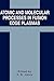 Atomic and Molecular Processes in Fusion Edge Plasmas (NATO Challenges of Modern Society; 19)