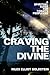 Craving the Divine: A Spiritual Guide for Today's Perplexed