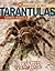 Tarantulas: Supersized Predators (Arachnid World)