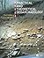 Practical and Theoretical Geoarchaeology by Paul  Goldberg