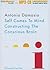Self Comes to Mind: Constructing the Conscious Brain