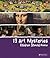 13 Art Mysteries Children S...