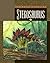 Stegosaurus (Science of Din...