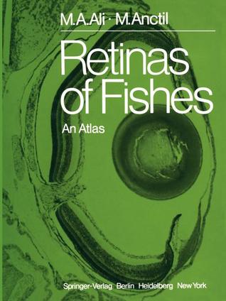 Retinas of Fishes: An Atlas (Paperback)