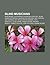 Blind Musicians: Blind Blake, Louis Braille, Blind Willie McTell, Blind Lemon Jefferson, Rahsaan Roland Kirk, Ray Charles, Doc Watson
