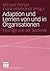 Adaption und Lernen von und in Organisationen: Beiträge aus der Sozionik (German Edition)